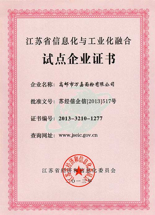 江苏省信息化与工业化融合试点企业证书